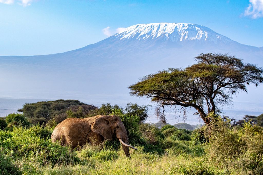 9 Days Bush to Beach Safari – Kenya safari