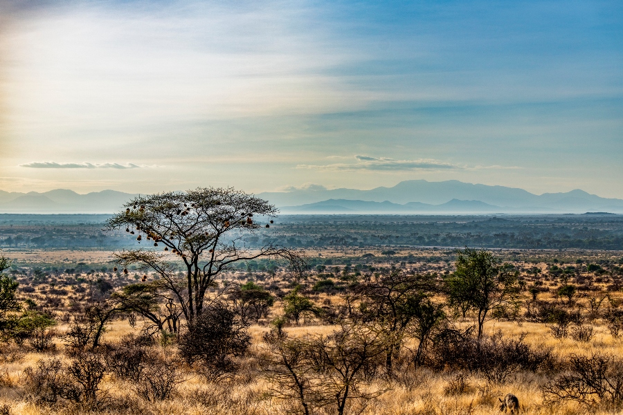 Samburu National Reserve