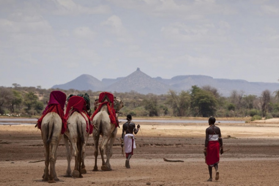 7 Days Northern Kenya Wilderness & Conservation Safari photo 6