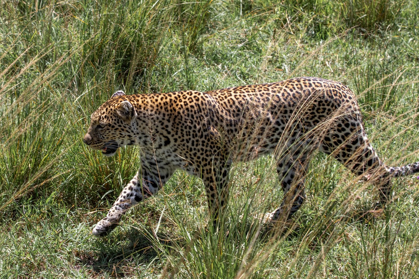 8 Days Kenya Family Safari & Beach Holiday photo 2