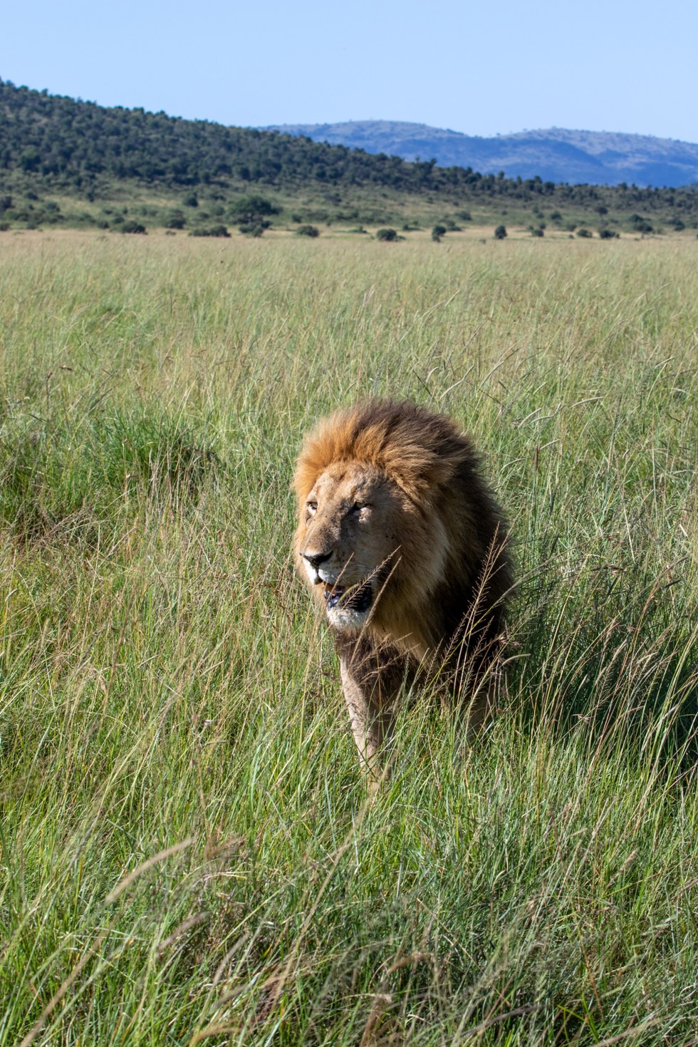 7 Days Kenya Highlights Safari photo 4